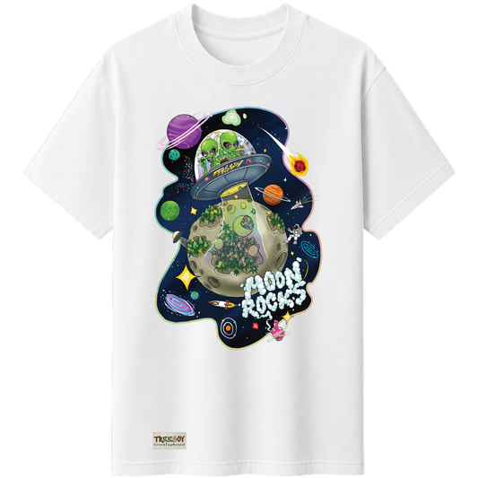 Moon Rocks