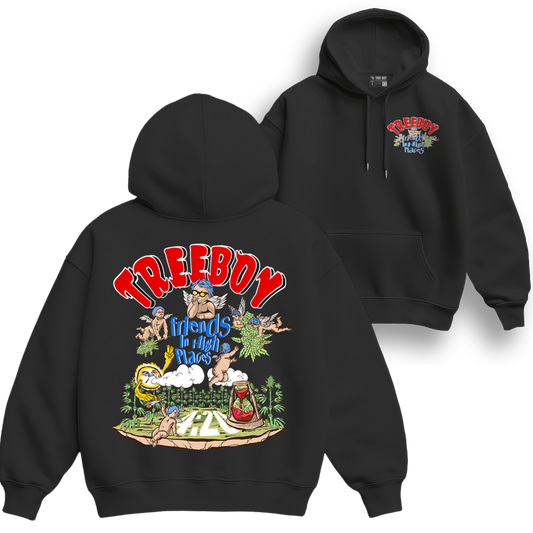 Friends In High Places Hoodie
